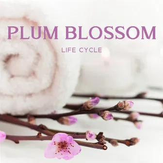 Plum Blossom Life Cycle (Chinese Spa Rejuvenation) by World of Spa Massages