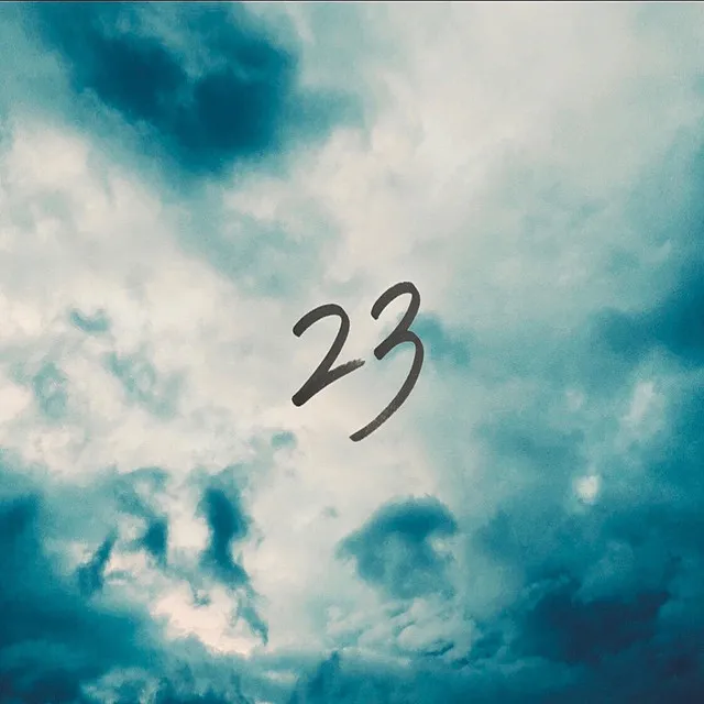 23