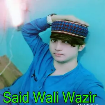 Shapa Me Hajar by Said Wali Wazir