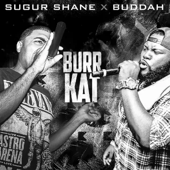 Burr Kat by Sugur Shane