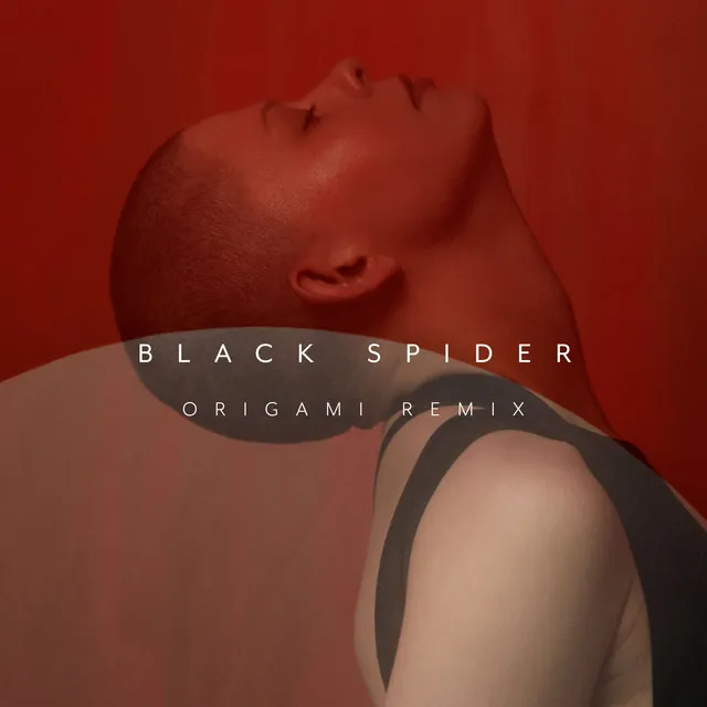 Black Spider - Origami Remix