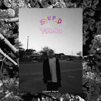 stupid young by Lewis Park