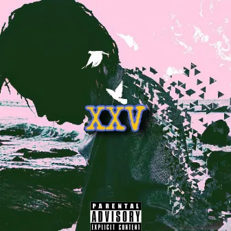 XXV by IGG Flexcy