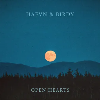 Open Hearts by HAEVN