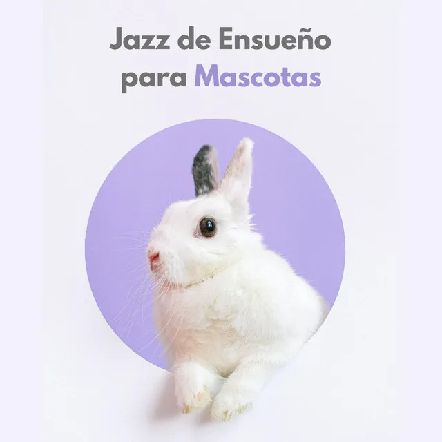 Jazz De Ensueño Para Mascotas