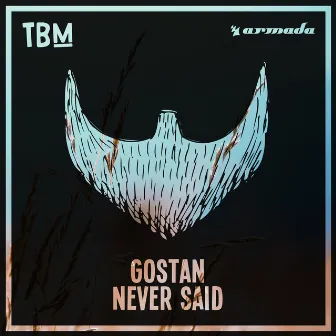 Never Said by Gostan