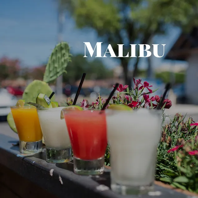 Malibu - Instrumental Version