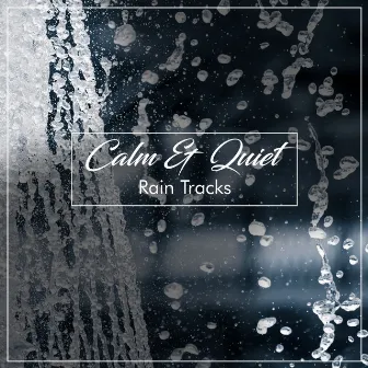 #2018 Calm & Quiet Rain Tracks by Rain, Thunder and Lightening Storm Sounds