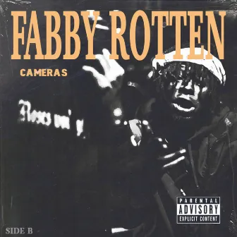 Cameras by Fabby Rotten