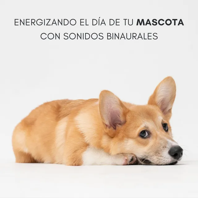 Energizando El Día De Tu Mascota Con Sonidos Binaurales