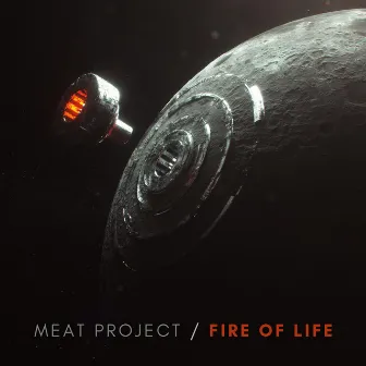 Meat Project / Fire Of Life by Act of Mood