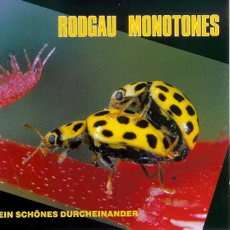 Ein schönes Durcheinander by Rodgau Monotones