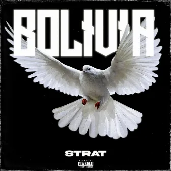 BOLIVIA by Strat