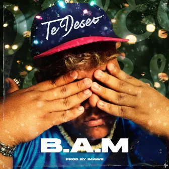 Te Deseo by B.A.M