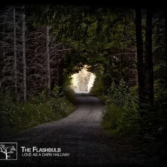 Love as a Dark Hallway by The Flashbulb