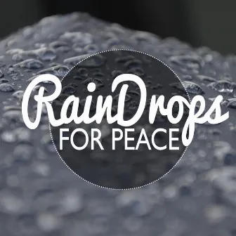 Rain Drops for Peace by Rain Meditation