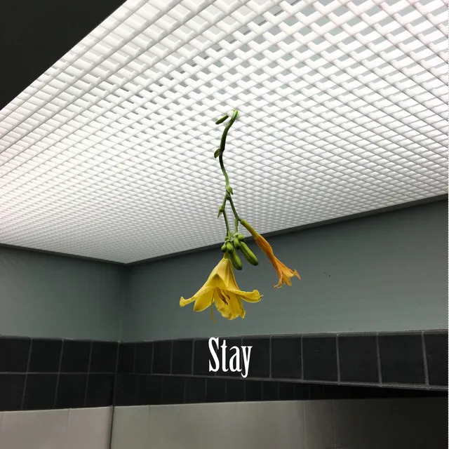 Stay