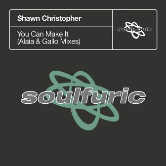 You Can Make It (Alaia & Gallo Mixes) by Shawn Christopher