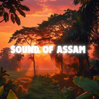 Sound of Assam by INJAMAMUL