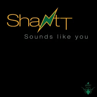 Sounds Like You (feat. Faust, Neftanger) by Shantt