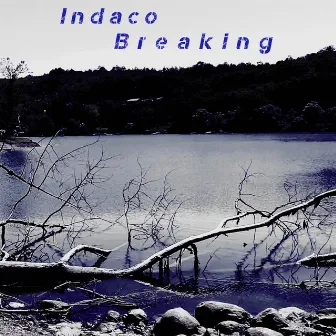 Breaking by Indaco