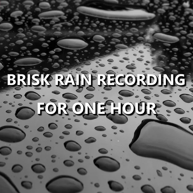 Brisk Rain Recording for One Hour