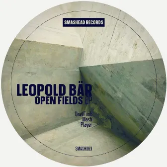 Open Fields by Leopold Bär