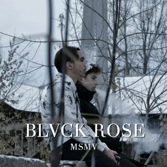 Blvck Rose by MSMV