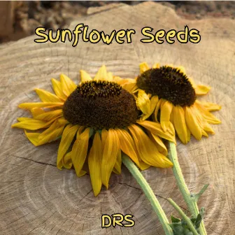 Sunflower Seeds by DRS