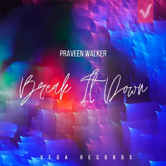 Break It down by Praveen Walker