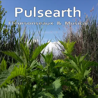 Pulsearth by 