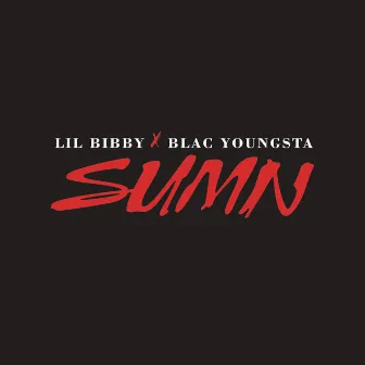 Sumn (feat. Blac Youngsta) by Lil Bibby