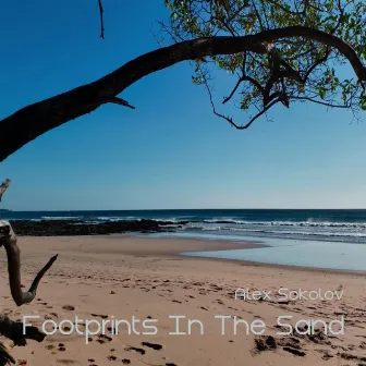 Footprints in the Sand by Alex Sokolov