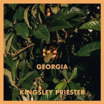 Georgia by Kingsley Priester