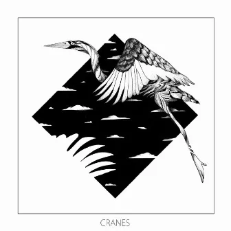 Cranes by Monkey Safari