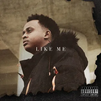 Like Me by Mo Muse