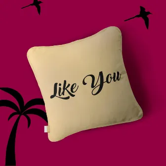 Like You by Gospel Hydration