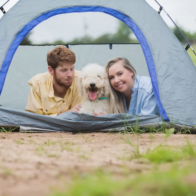 Melodic Nature Connections: Binaural Cricket Bliss for Calming Pet Moments