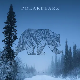 Why Do We Run by Polarbearz