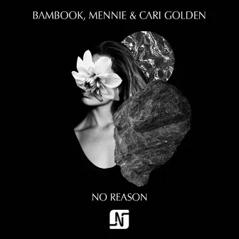 No Reason by Bambook