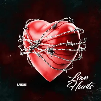 LOVE HURTS (Radio Edit) by San215