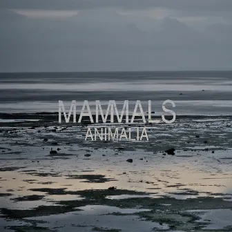 Animalia by Mammals