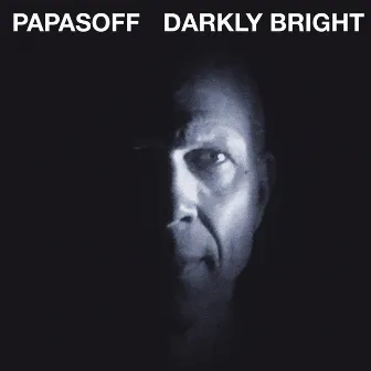 Darkly Bright by Charles Papasoff