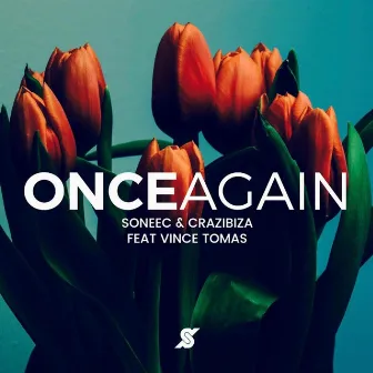 Once Again (feat. Vince Tomas) by Soneec