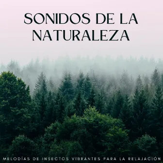 Sonidos De La Naturaleza: Melodías De Insectos Vibrantes Para La Relajación by Colección de sonidos de la naturaleza