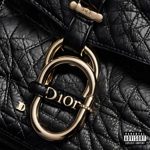 Bolsa da Dior