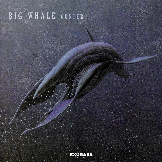 BIG WHALE