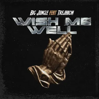 Wish Me Well by Big Jungle