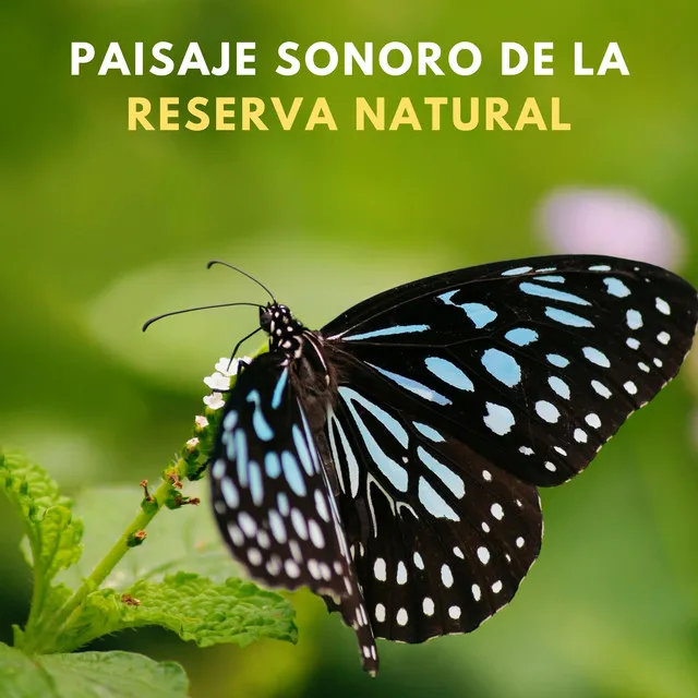 Fuerzas Naturales