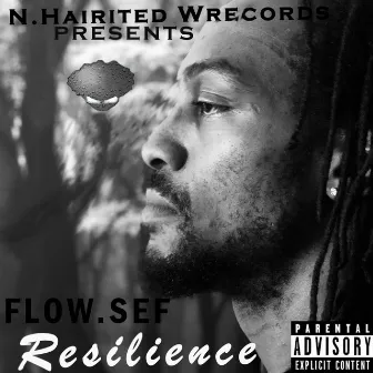 Resilience by Flow.Sef